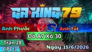 Trận 28 CPC3 Ngày 15/6/2026 - Gà que độ đá sau củng về nhà được