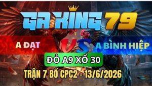 Trận 7 CPC2 Ngày 13/6/2026 – ANH ĐẠT VS ANH BÌNH HIỆP