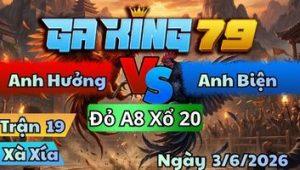 Trận 19 Xà Xía Ngày 3/6/2026 - Úa Theo Tan Bướm Đá Cấm Đầu Tại Ô