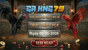Xem Full Video Đá Gà CPC4 Ngày 06/06/2026