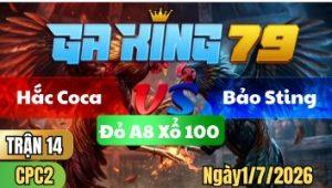 Trận 14 CPC2 Ngày 1/7/2026 - Bướm cọp idol hốt xác gà điều mau lẹ