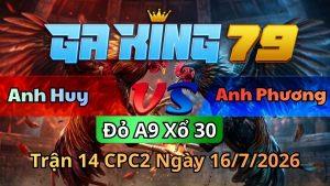Trận 14 CPC2 Ngày 16/7/2026 - Gà cú vô đá tay 1 gà ô đập cánh giãy chết