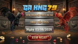 Xem Full Video Đá Gà CPC5 Ngày 03/08/2026 Tại GAKING79