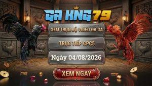 Xem Full Video Đá Gà CPC5 Ngày 04/08/2026 Tại GAKING79