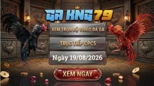 Xem Full Video Đá Gà CPC5 Ngày 19/08/2026 Tại GAKING79
