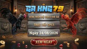 Xem Full Video Đá Gà CPC5 Ngày 24/08/2026 Tại GAKING79