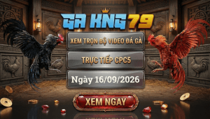Xem Full Video Đá Gà CPC5 Ngày 16/09/2026 Tại GAKING79