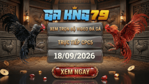 Xem Full Video Đá Gà CPC5 Ngày 18/09/2026 Tại GAKING79